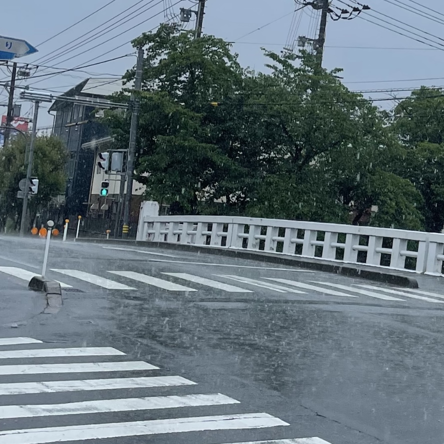 えらい降りと雷です💦