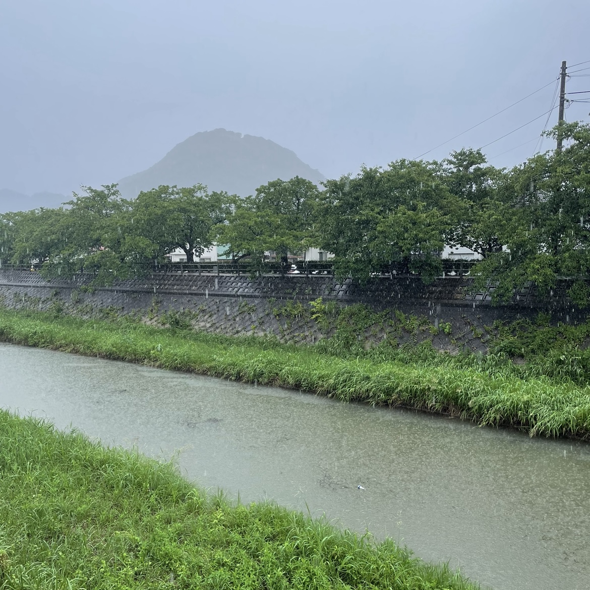 えらい降りと雷です💦