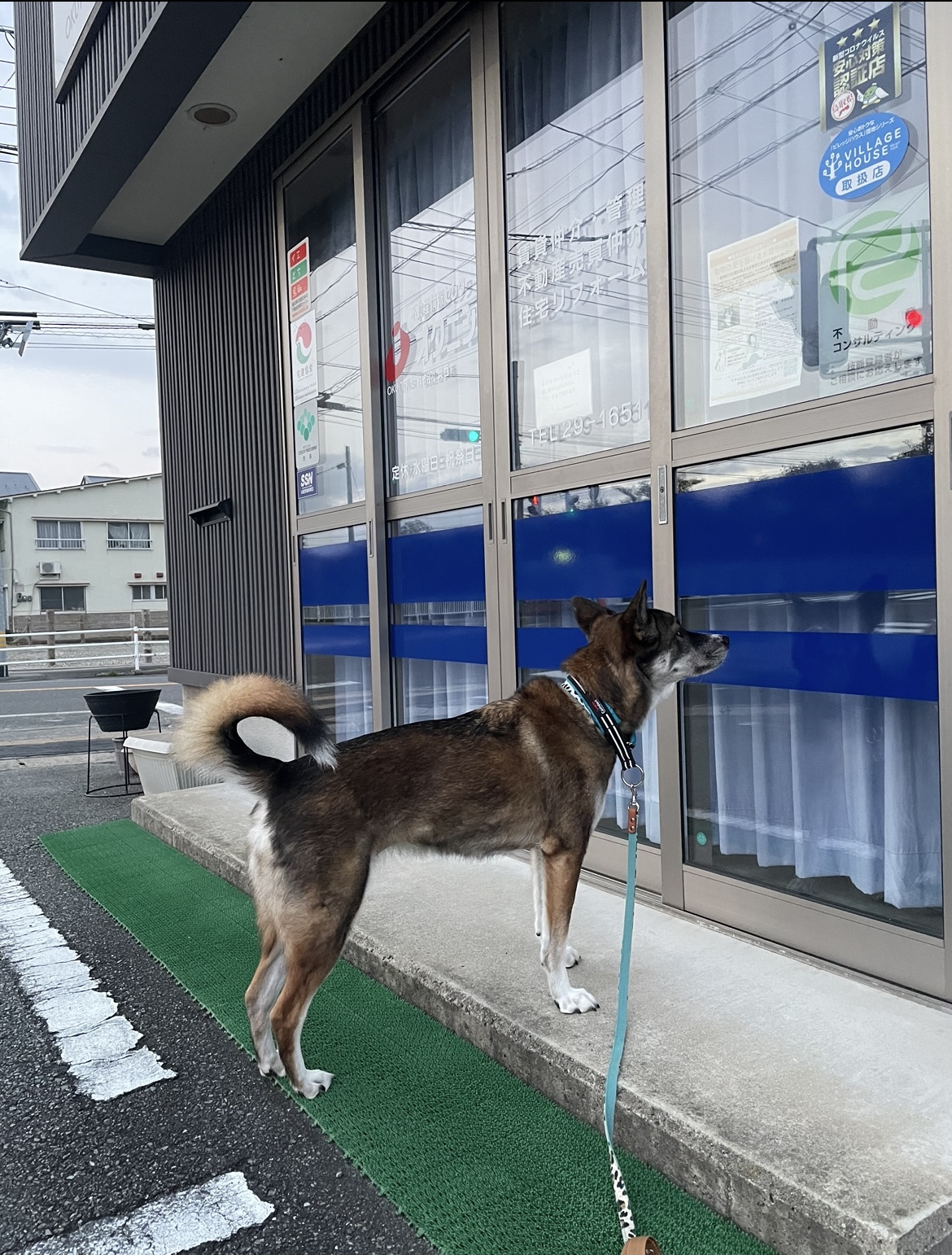 社長は居ません