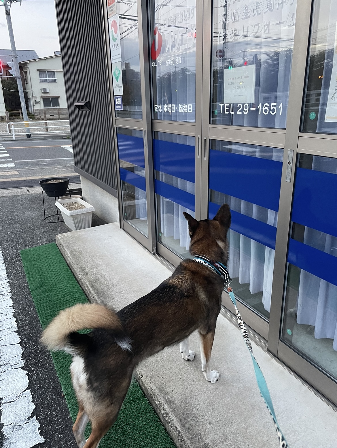 社長は居ません