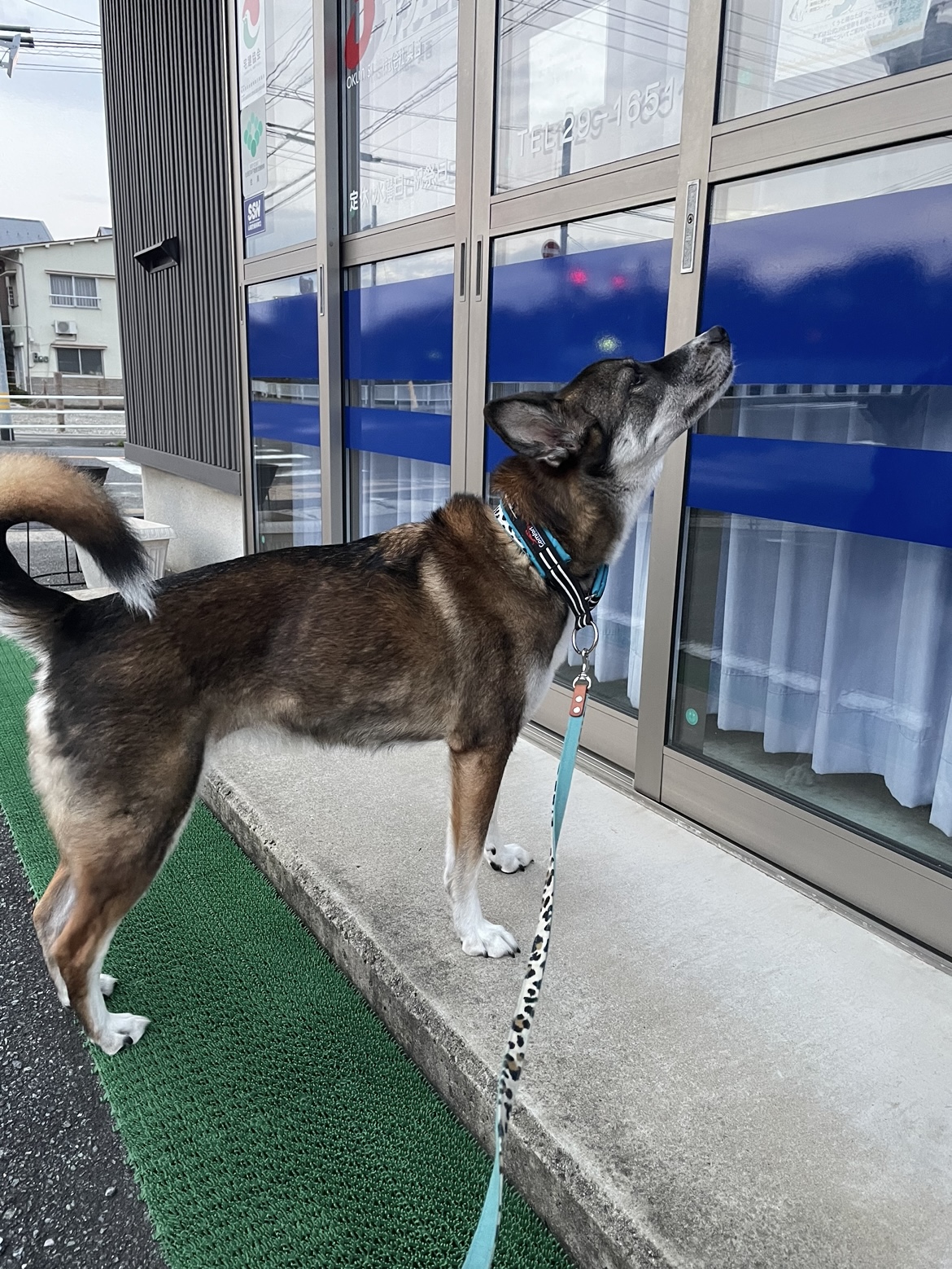 社長は居ません