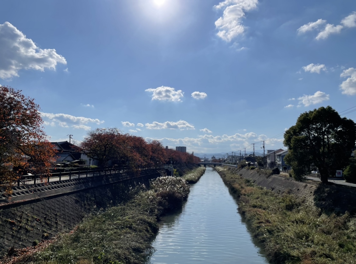 秋晴れ