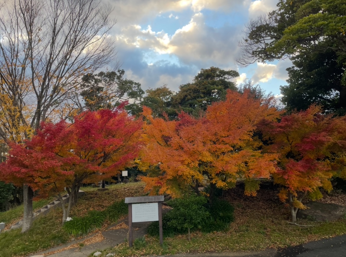 遠方に行かなくても