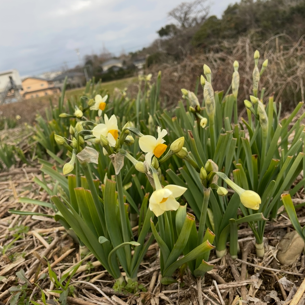 寒さに耐えて